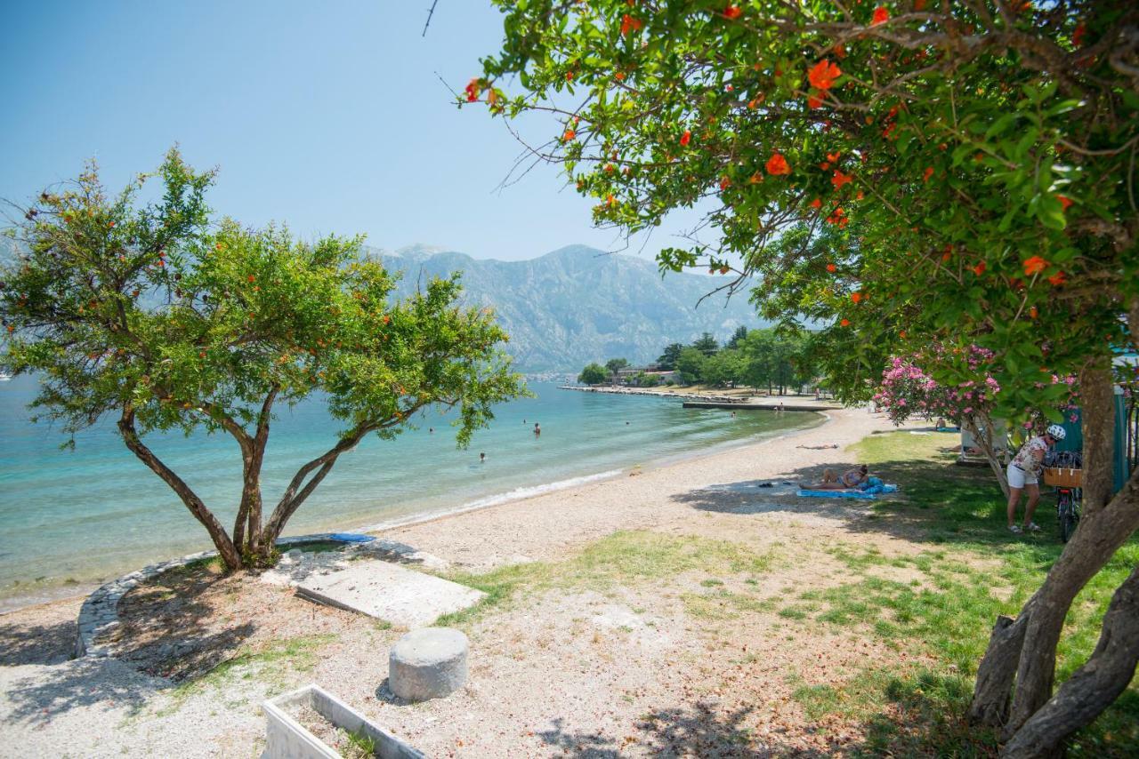 Villa Milami Kotor Dış mekan fotoğraf
